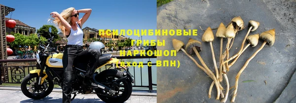 дмт Володарск